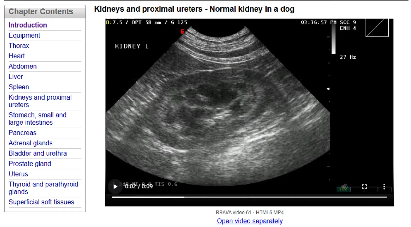 Работающий HTML5-плеер внутри восстановленного интерфейса BSAVA Manual of Canine and Feline Ultrasonography